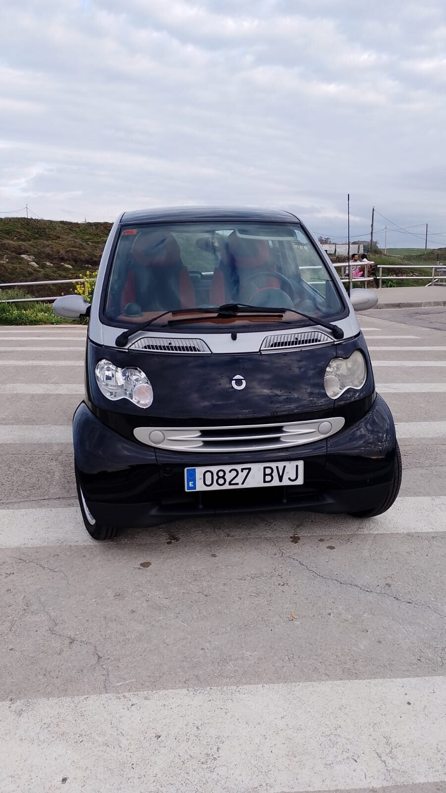 SMART FORTWO PASION 0.800